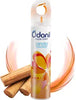 Air Freshners