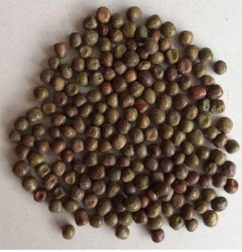 Kusiya Keraw (Kushi Kerao / Small Wild Gray-Green Peas) 1kg